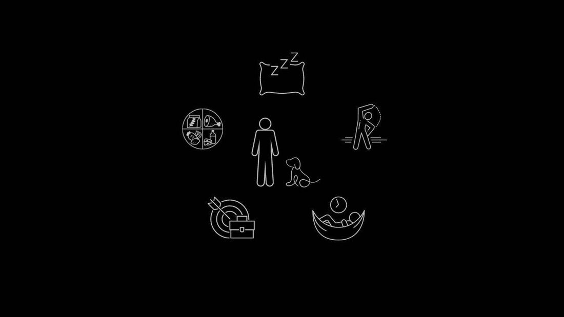 THE REQUISITE RELATIONSHIPS