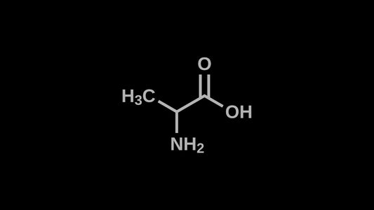 BETA-ALANINE & THE SCIENCE
