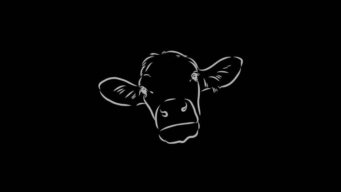 THE MISUNDERSTOOD BEVERAGE: MILK